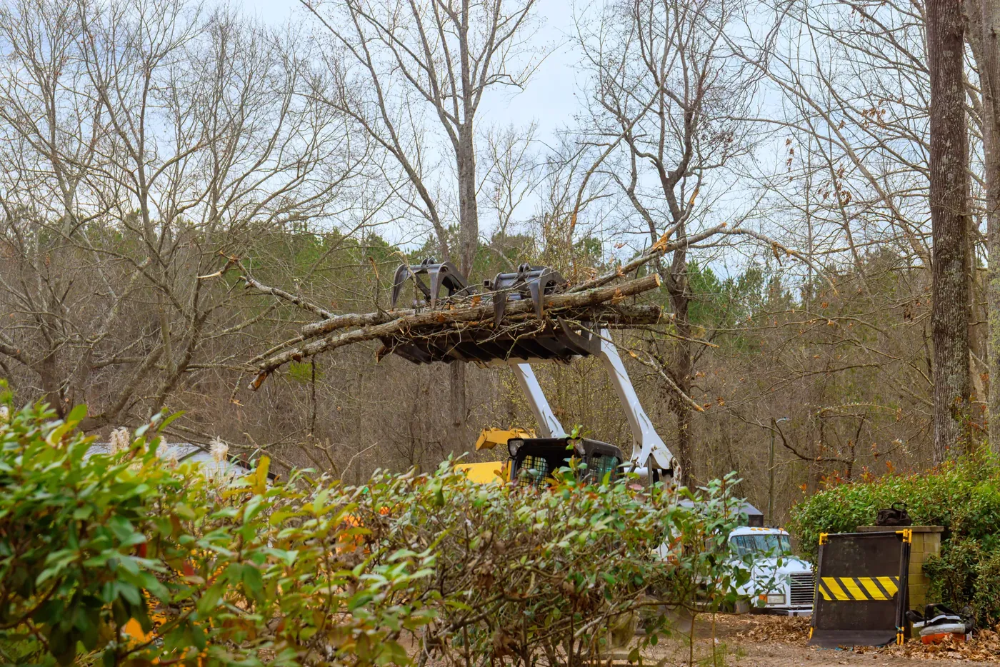 Land Clearing